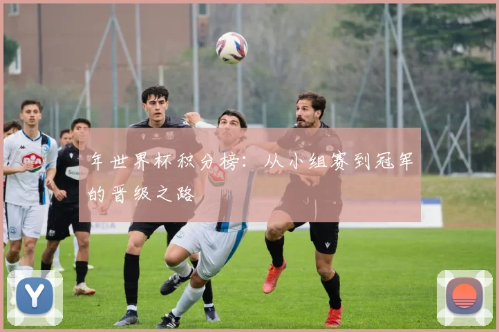 年世界杯积分榜：从小组赛到冠军的晋级之路