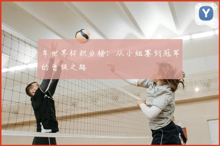 年世界杯积分榜：从小组赛到冠军的晋级之路
