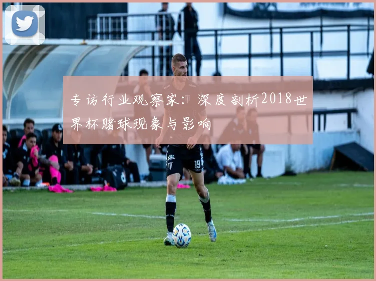 专访行业观察家：深度剖析2018世界杯赌球现象与影响