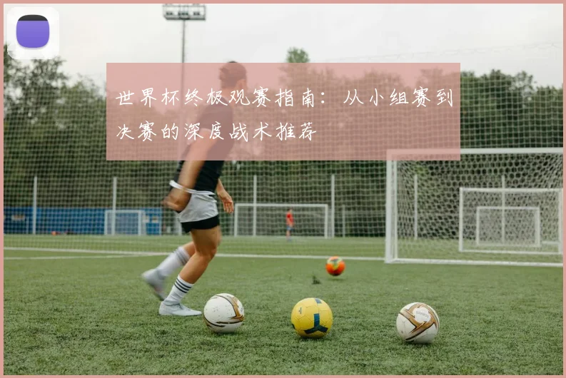 世界杯终极观赛指南：从小组赛到决赛的深度战术推荐