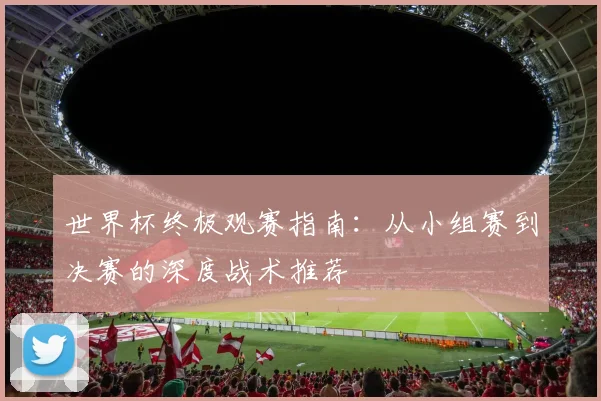 世界杯终极观赛指南:从小组赛到决赛的深度战术推荐
