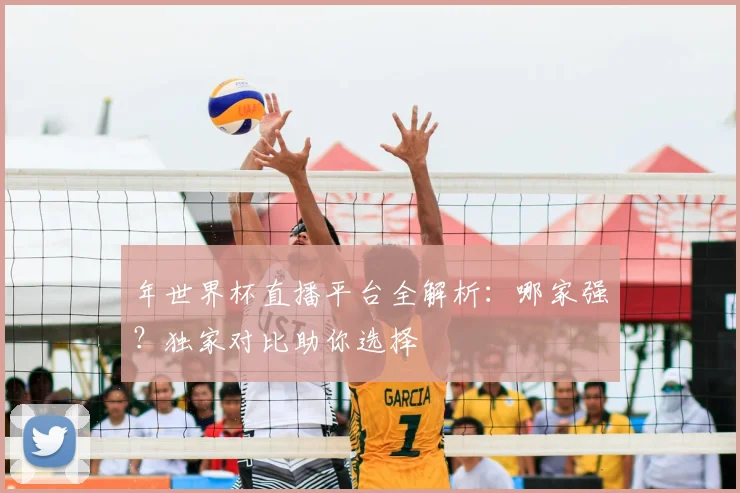 年世界杯直播平台全解析:哪家强?独家对比助你选择