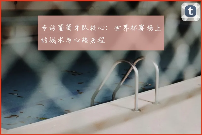 专访葡萄牙队核心：世界杯赛场上的战术与心路历程