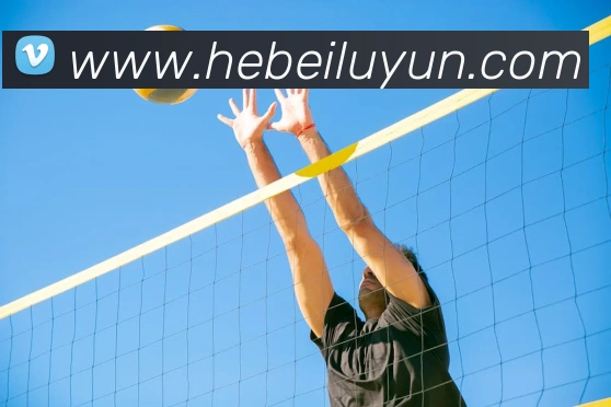 云开体育app官方下载发展历程